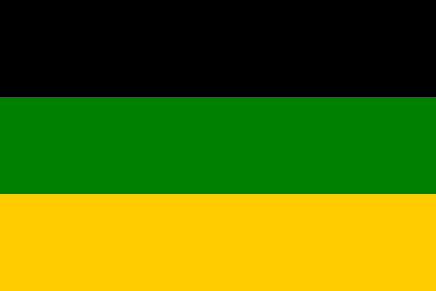 ANC: Flag color