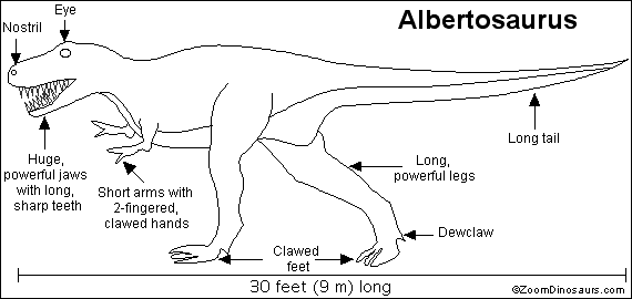 albertosaurus discovery