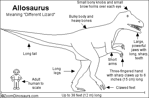 dinosaurs like allosaurus