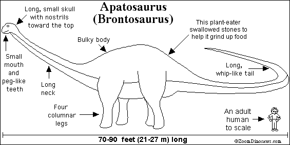 Search result: 'Apatosaurus Printout'