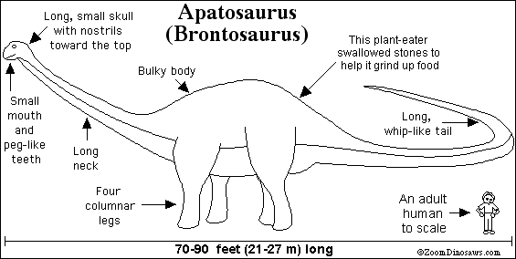 brontosaurus vs apatosaurus