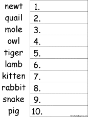 animals put the words in alphabetical order worksheets enchantedlearning com