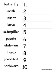 animals put the words in alphabetical order worksheets