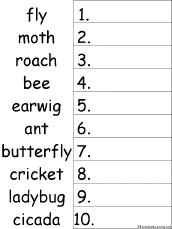 10 Insects Alphabetical Order Worksheet Printout - EnchantedLearning.com