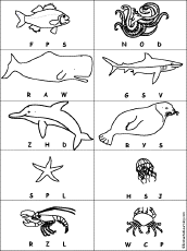 Ocean Animal Printouts Enchantedlearning Com