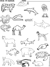 Search result: 'Circle 10 Mammals'