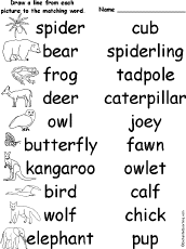 Animal Spelling Worksheets At Enchantedlearning Com