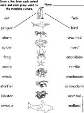 animal anagrams worksheet Spelling Animal at Worksheets EnchantedLearning.com