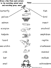 Match words