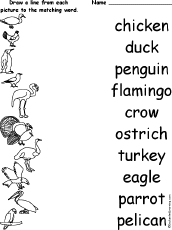 Spelling words