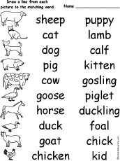 Animal Spelling Worksheets at EnchantedLearning.com