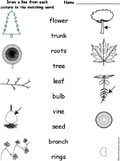 Matching Words and Pictures: Worksheets - EnchantedLearning.com