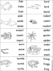 Search result: 'Animals: Multiple Choice Spelling Words'