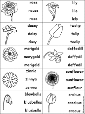 plants multiple choice spelling words at enchantedlearningcom