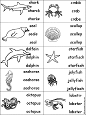 Oceans And Seas Spelling And Writing Worksheets Enchantedlearning Com