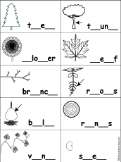 Search result: 'Fill in Missing Letters in Plant Words'