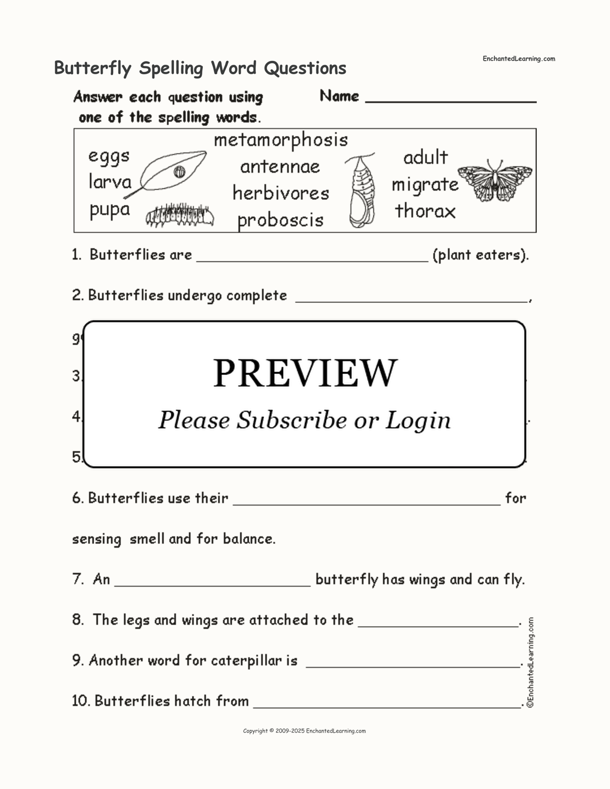 Butterfly Spelling Word Questions interactive worksheet page 1