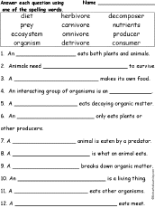 Food Chain: EnchantedLearning.com