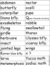 Word for Each Letter