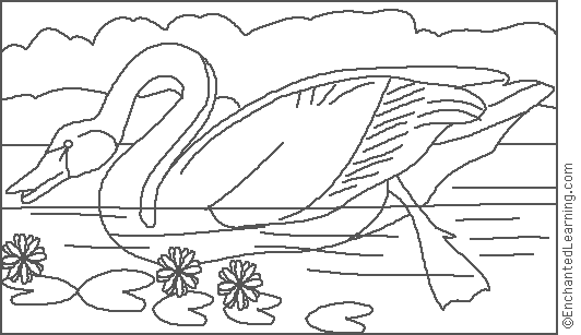 free swan coloring pages