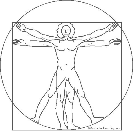 Leonardo Da Vinci Proportions Of The Human Figure Coloring Page Enchantedlearning Com