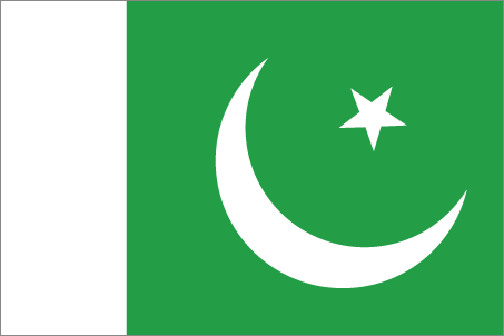 Pakistan's Flag