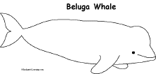 Beluga Blank Template - Imgflip