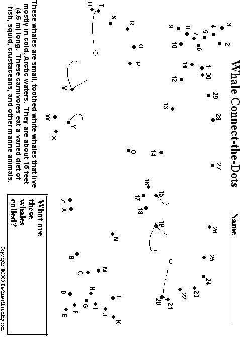 Search result: 'Beluga Whale Connect-the-Dots'