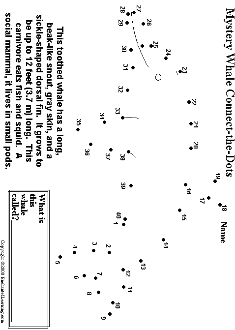 Search result: 'Bottlenose Dolphin Connect-the-Dots'