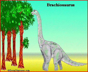 What Did The Brachiosaurus Eat