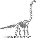 Brachiosaurus skeleton