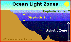 Sunlit Ocean (Euphotic) Zone - EnchantedLearning.com