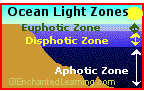 Ocean zones