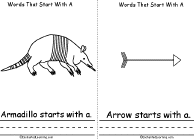 Armadillo, Arrow