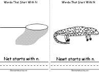 Net, Newt