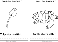 Tulip, Turtle