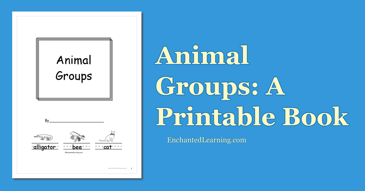 Animal Groups: A Printable Book - Enchanted Learning