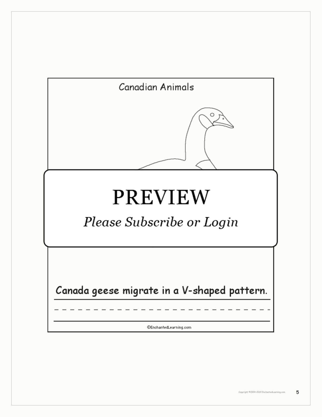 Canadian Animals: Printable Book interactive printout page 5