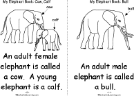 Cow, Calf, Bull