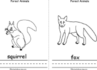 Squirrel, Fox