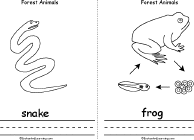 Snake, Frog