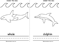 Whale, Dolphin
