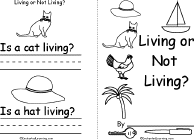 Search result: 'Living or Not Living? Book, A Printable Book: Cover, Cat/Hat'