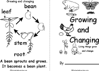 Search result: 'Growing and Changing Book, A Printable Book: Cover, Bean to Bean Plant'