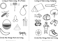 Search result: 'Living or Not Living? Book, A Printable Book: Hen/Pen, Boat/Goat'