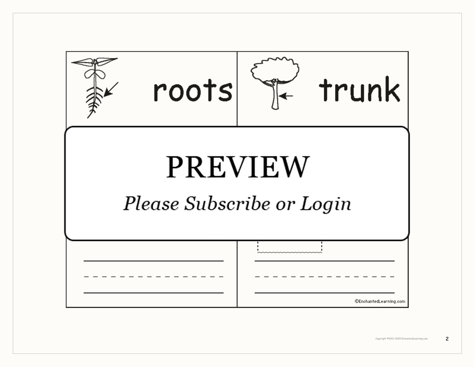 Plant Word Book interactive printout page 2