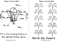 Search result: 'Flower Activity Book, A Printable Book: Fill in the Letters, Matching'