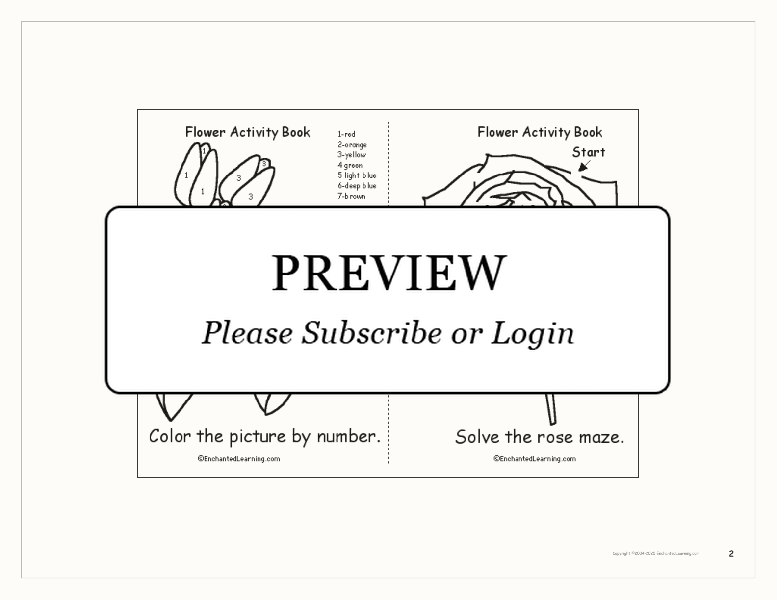 Flower Activity Book interactive printout page 2