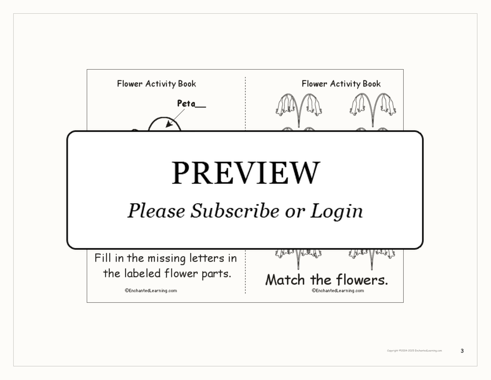 Flower Activity Book interactive printout page 3