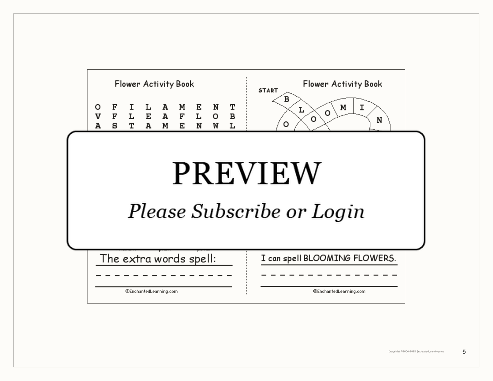 Flower Activity Book interactive printout page 5